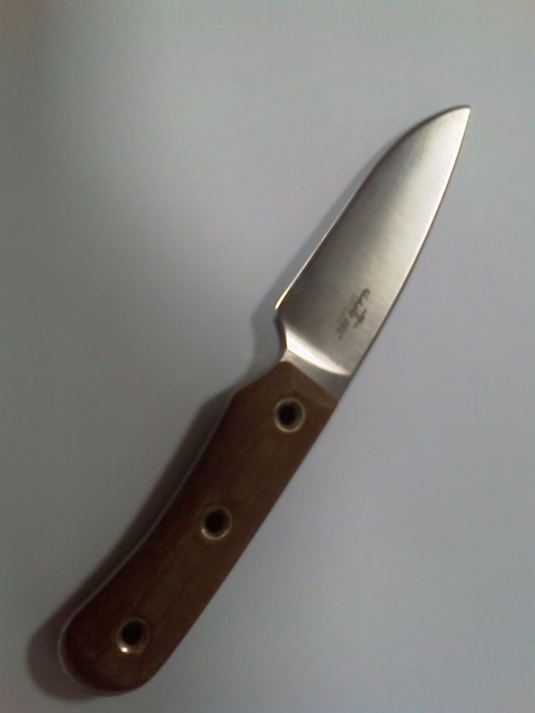 IMAG0159.jpg