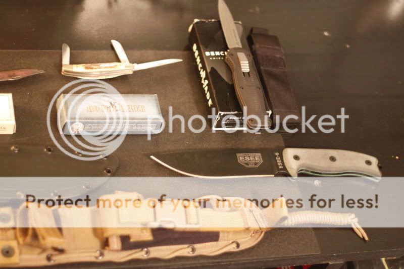_MG_3538.jpg