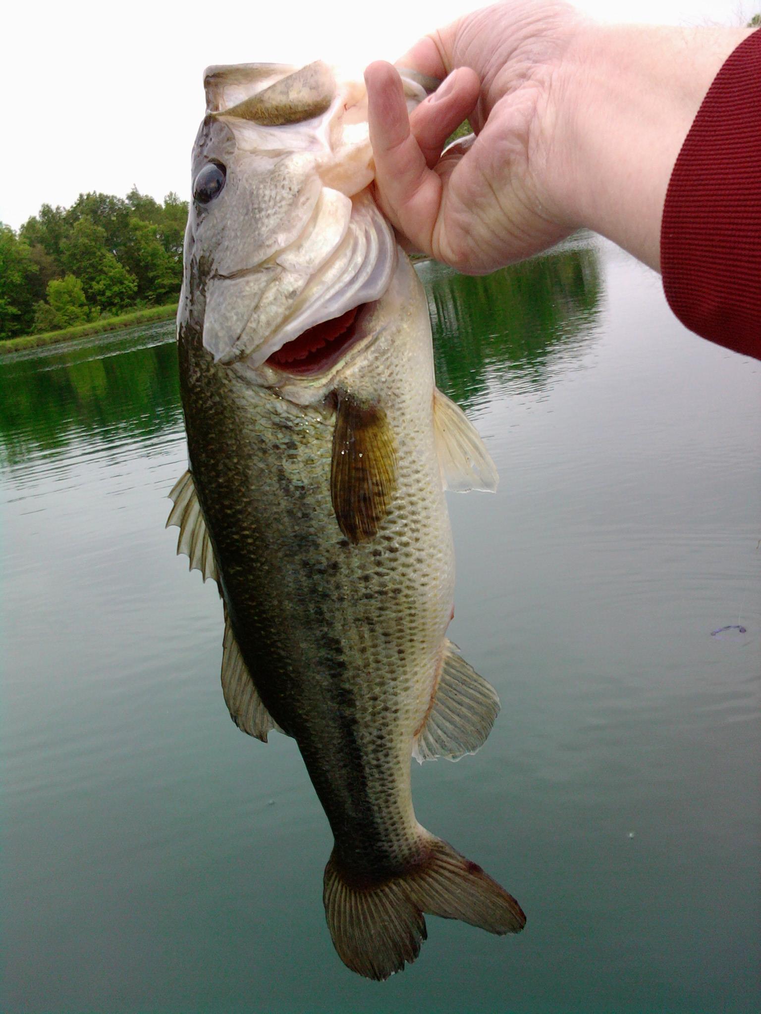 2010-05-16%2008.50.44.jpg