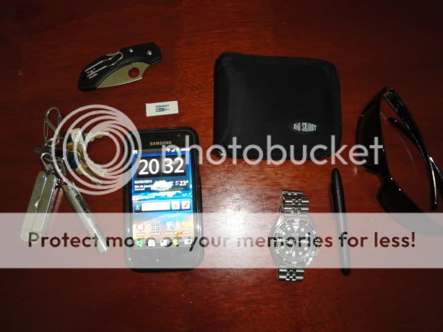 DSC01187.jpg