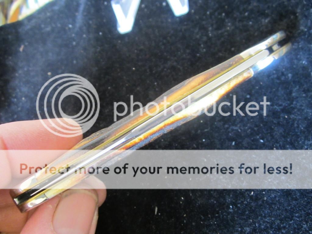 IMG_4309_zpseabb38ef.jpg