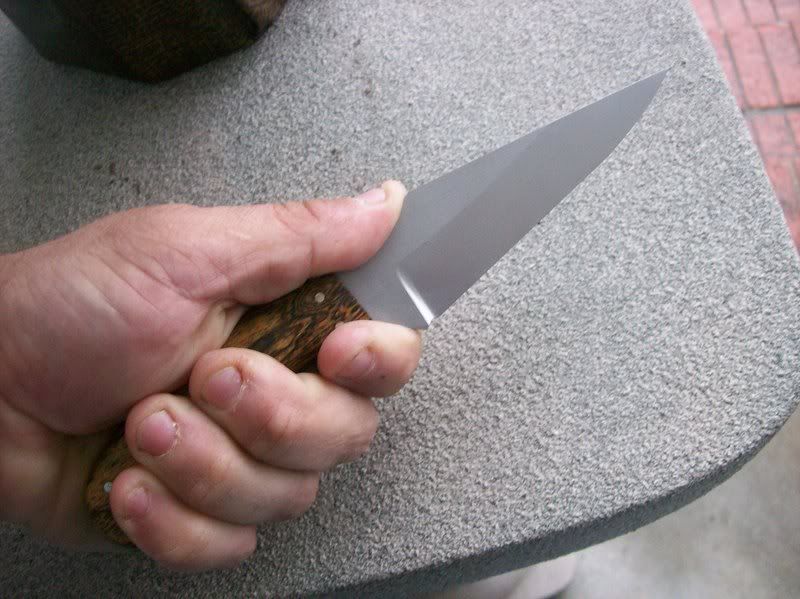 sharpfinger010.jpg