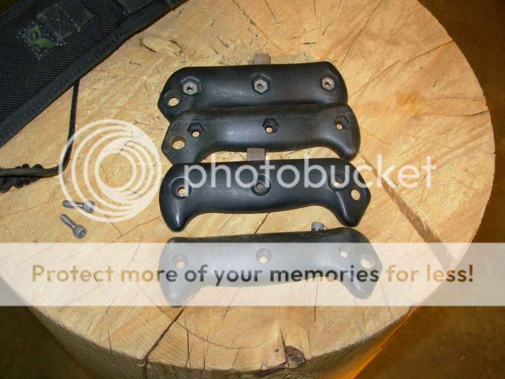 DSCN0295.jpg