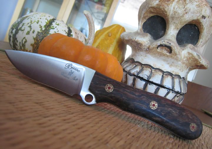 OctoberBusse.jpg