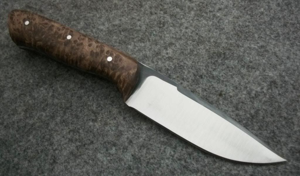 REDWOOD006.jpg