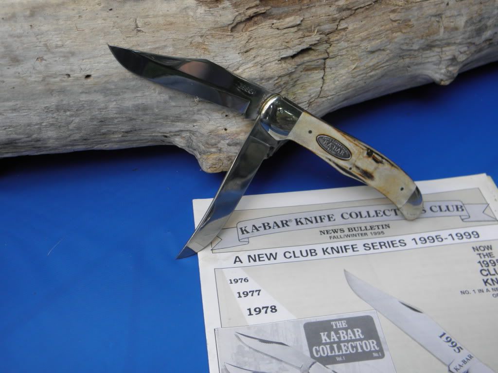 KabarCKandNewDogs094.jpg