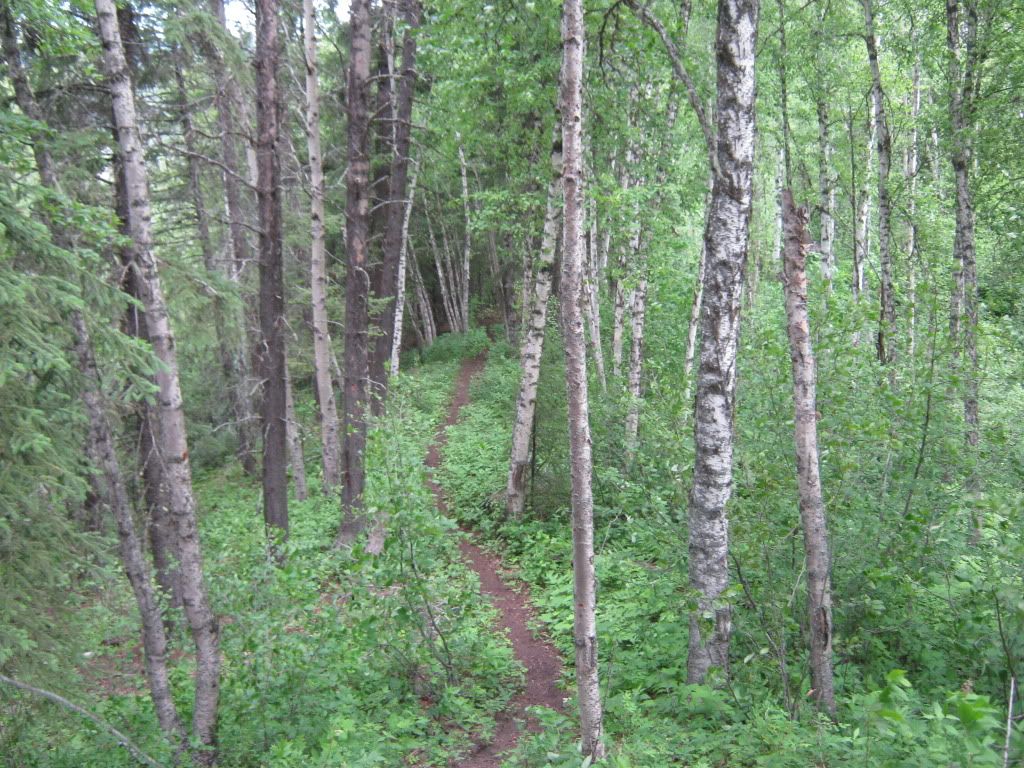 July032010031.jpg
