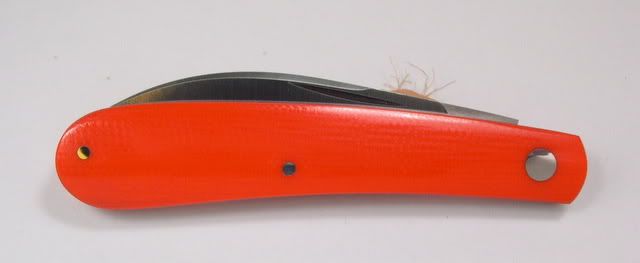 DSCN2226.jpg