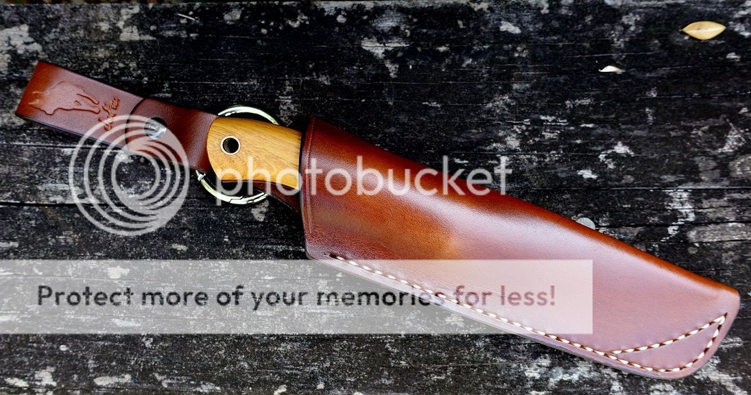 DSC01602_zpserwps9vt.jpg