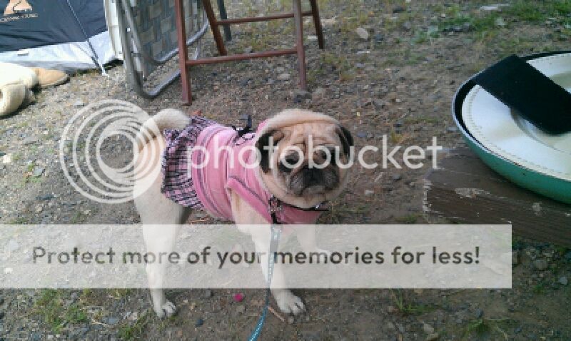 IMAG0042.jpg