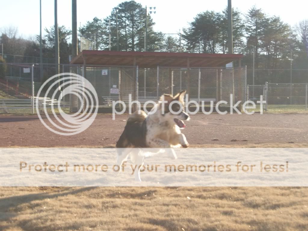 skating050.jpg