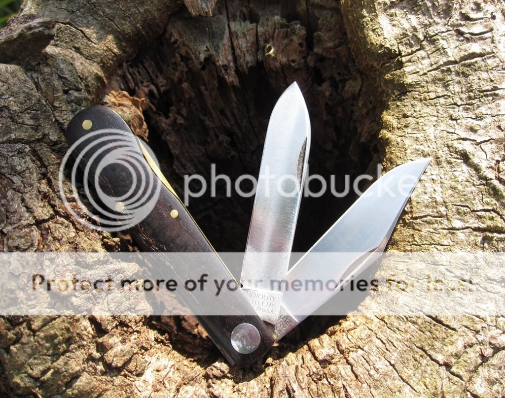 IMG_2459_zpsdca528ab.jpg~original