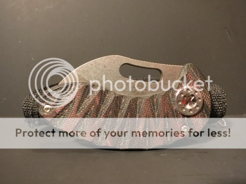 IMG_0584_zps2d4f1210.jpg