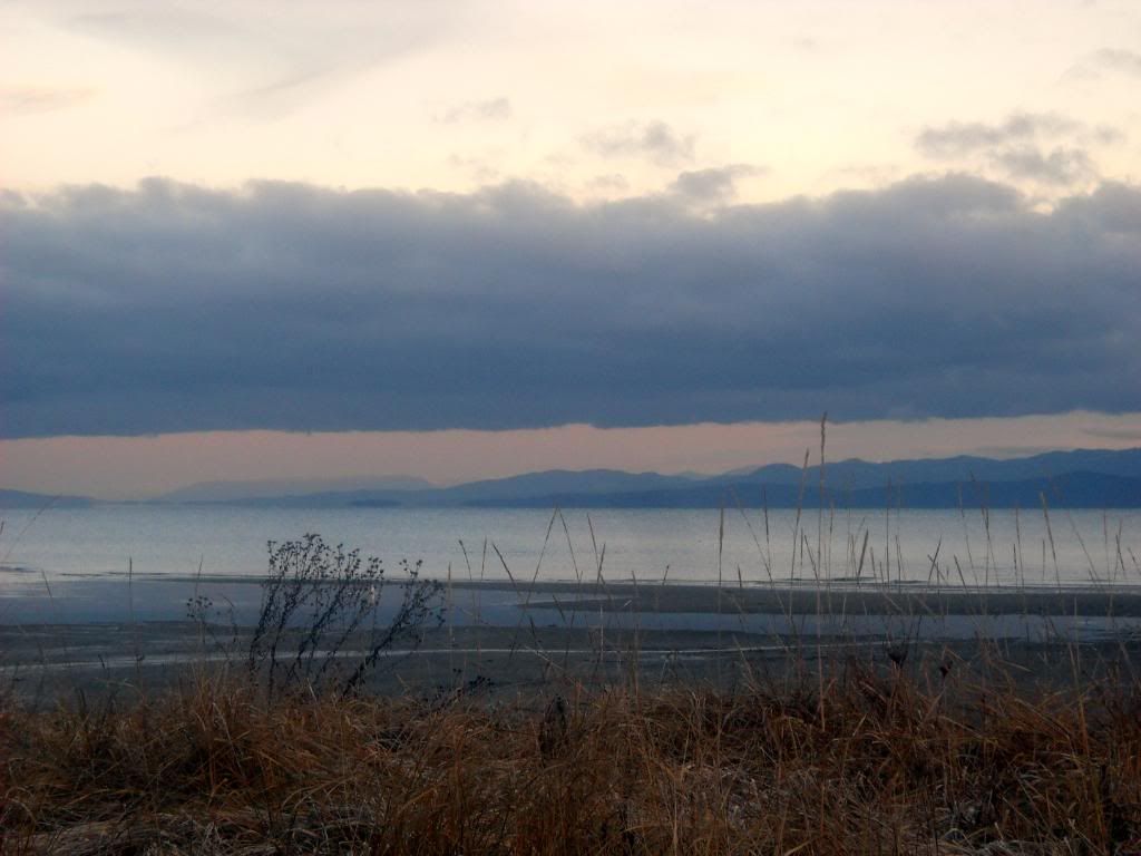 DSCN0266.jpg