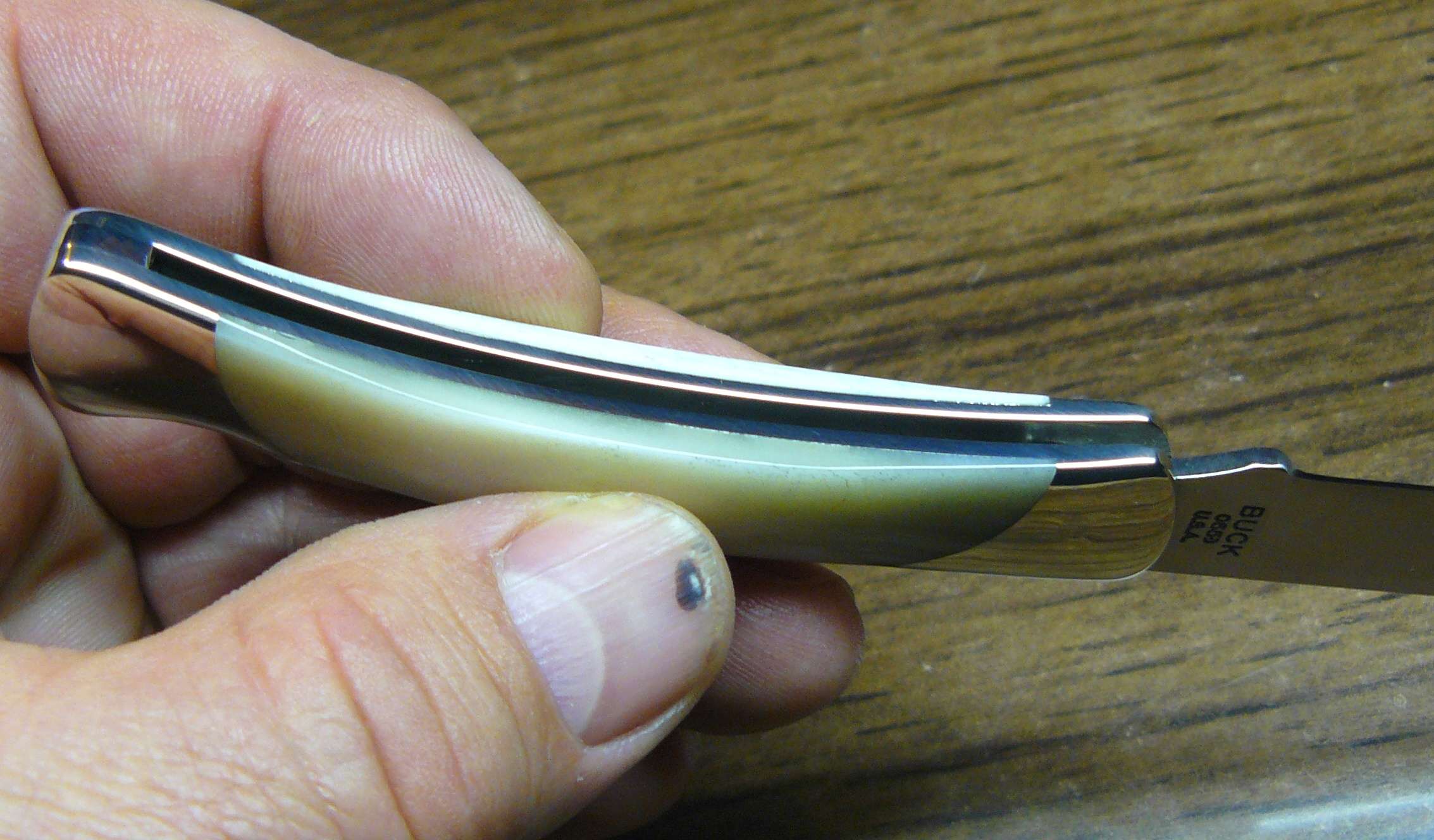 12112012buck055003.jpg