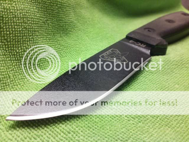 450629843_photobucket_41771_.jpg