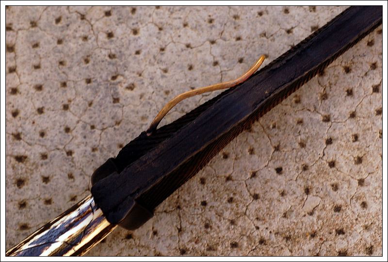 miniedc16.jpg