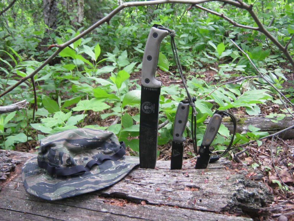 July032010039.jpg