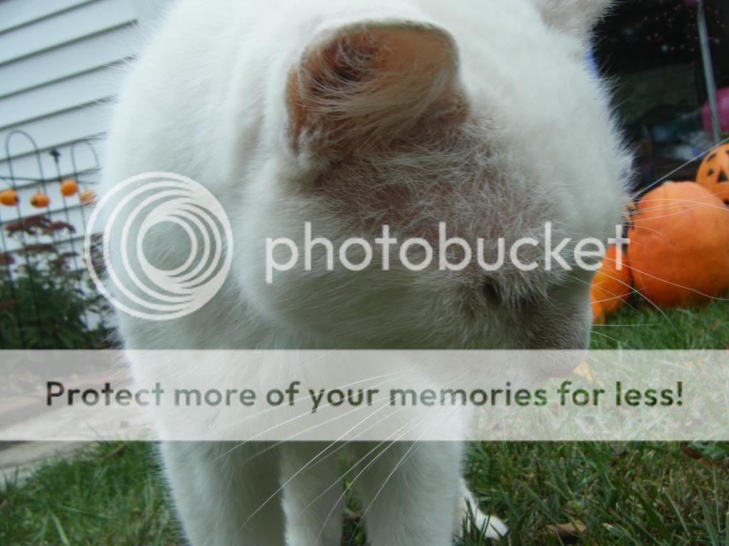 DSCF9488.jpg