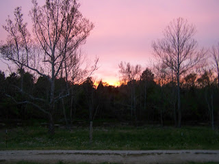 100_8697.JPG