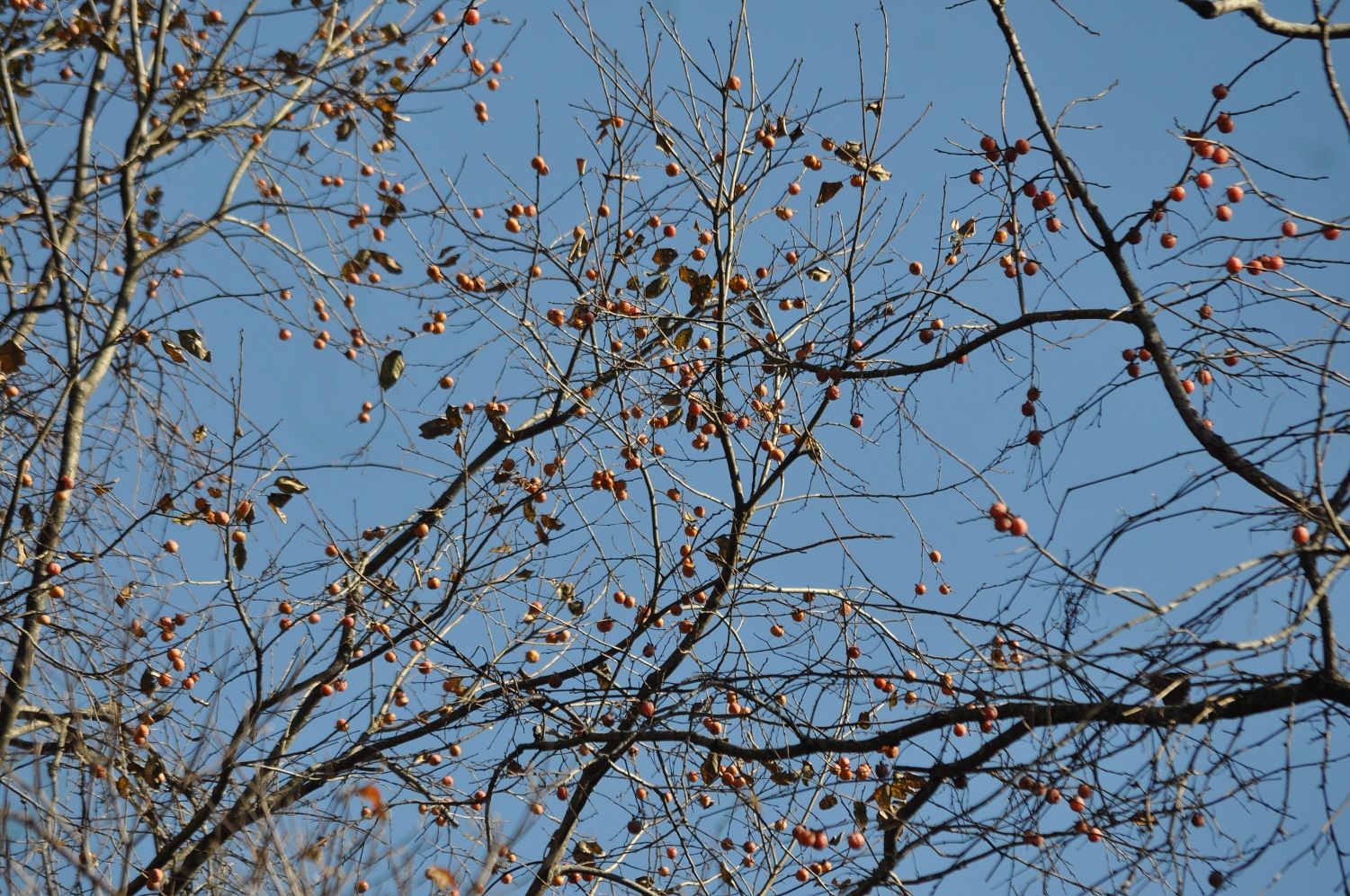 B_23_zps9b5fb922.jpg