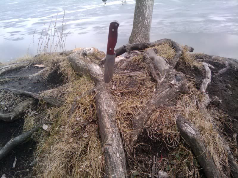 2011-03-04134946.jpg