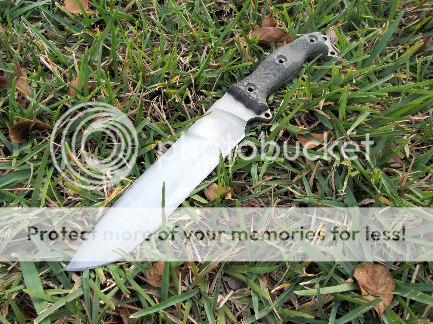 IMG_1182_zps5d5e31fd.jpg