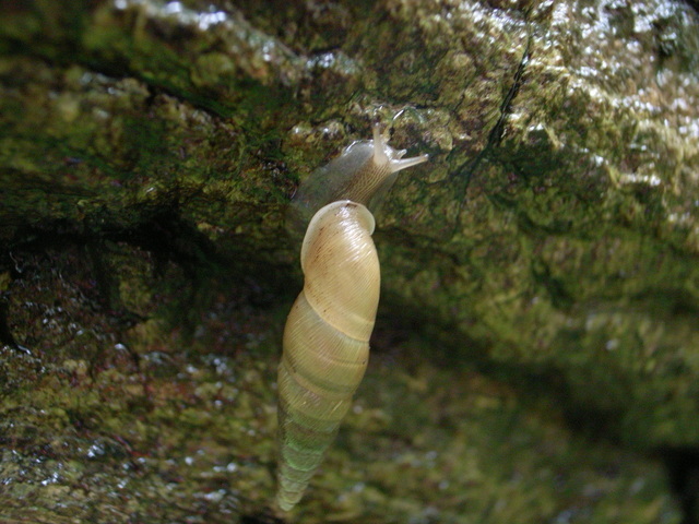 2011.05.30.R0024006.JPG