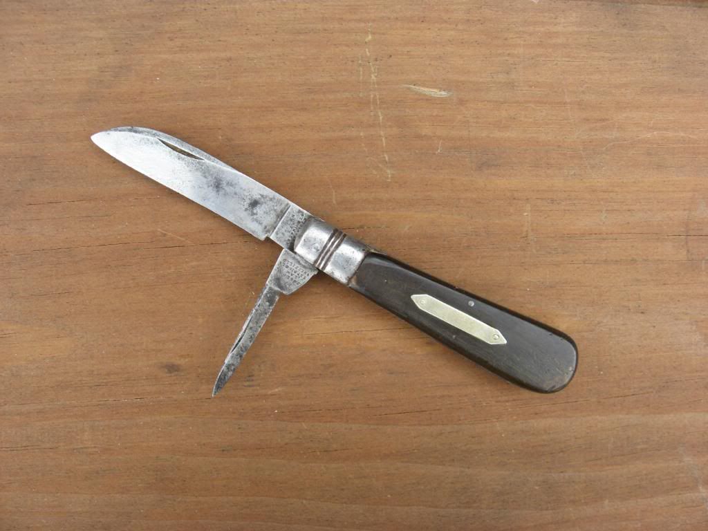 Swayback017.jpg