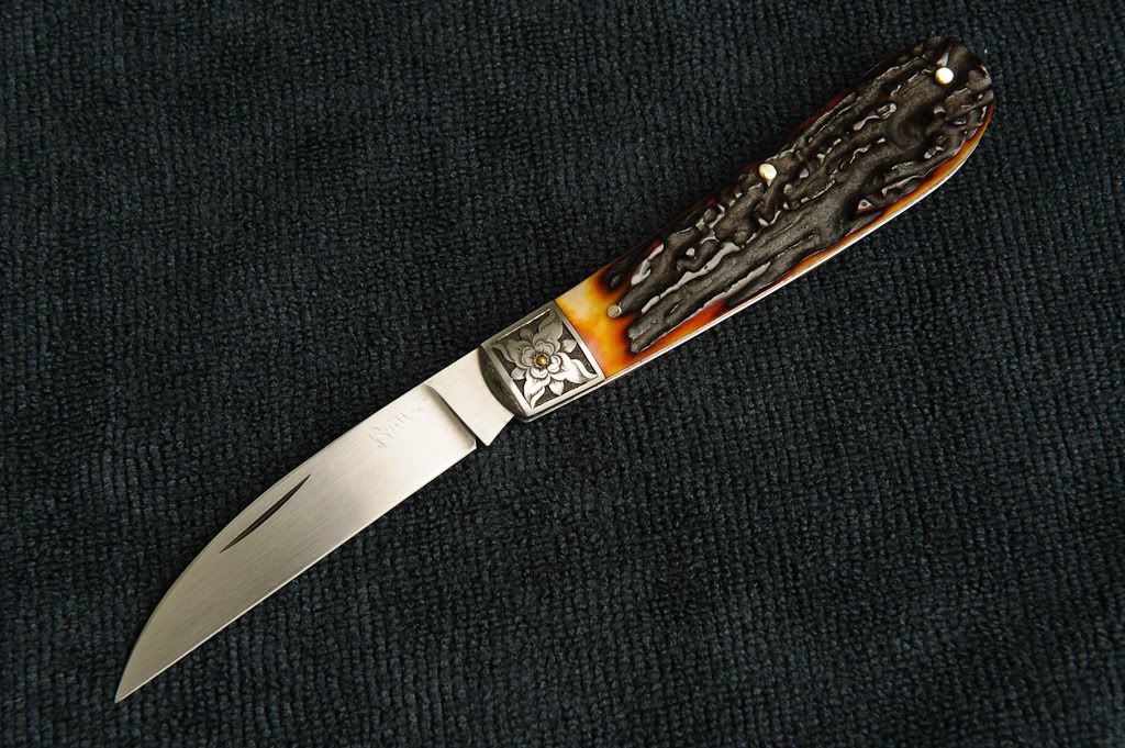RLF_3447.jpg