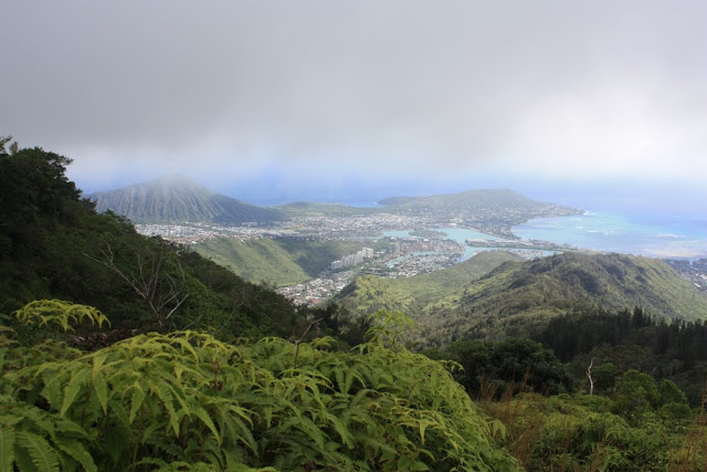 IMG_4791.JPG