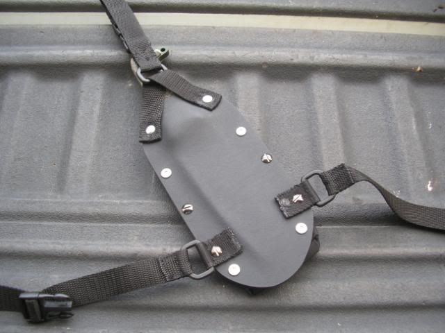 Picture015.jpg