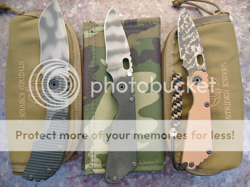 StriderRC-SMF-SNG.jpg