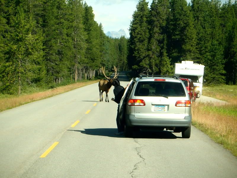 Banff2012157.jpg