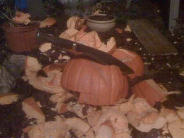 MattDoleHalloween20101.jpg