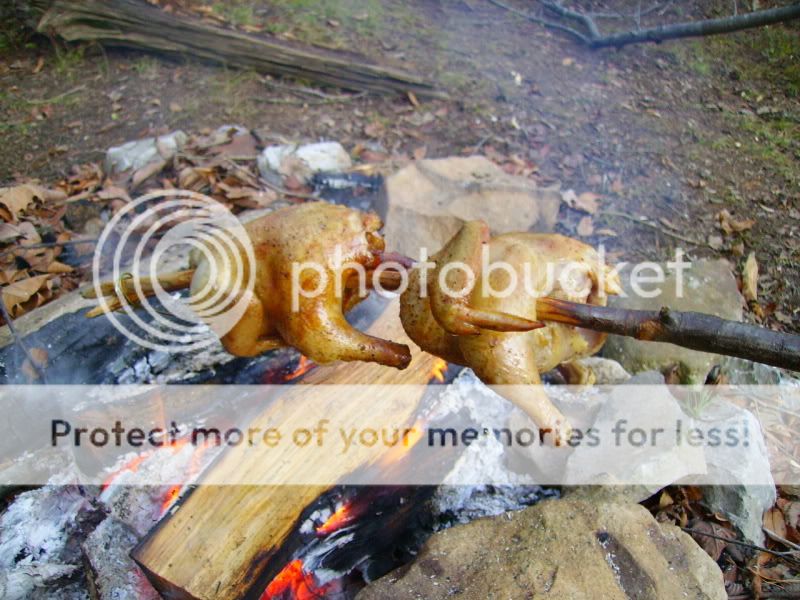 PICT0212.jpg