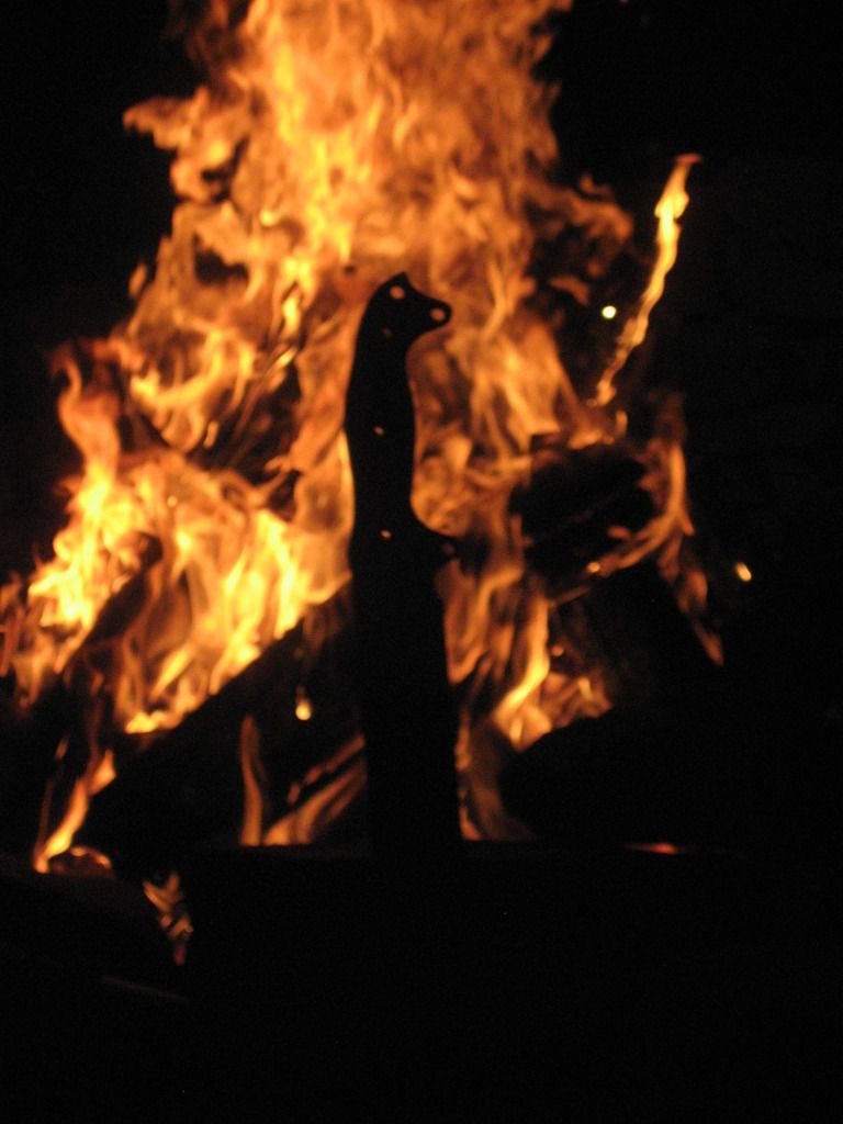 Picture288.jpg