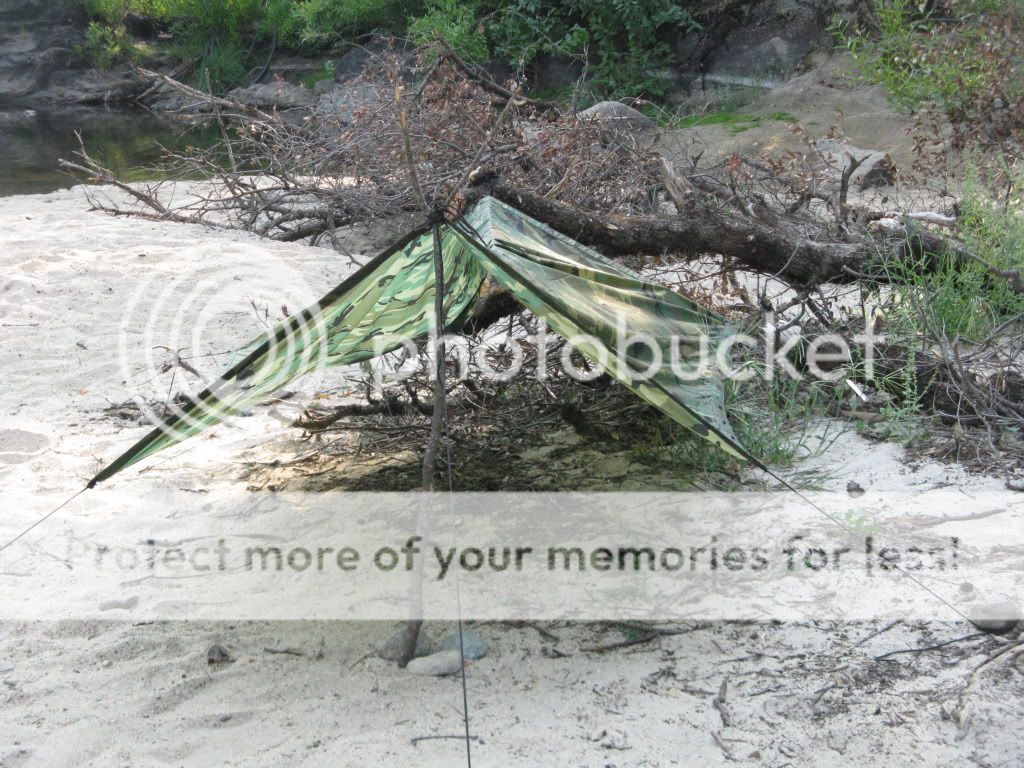 Picture178.jpg
