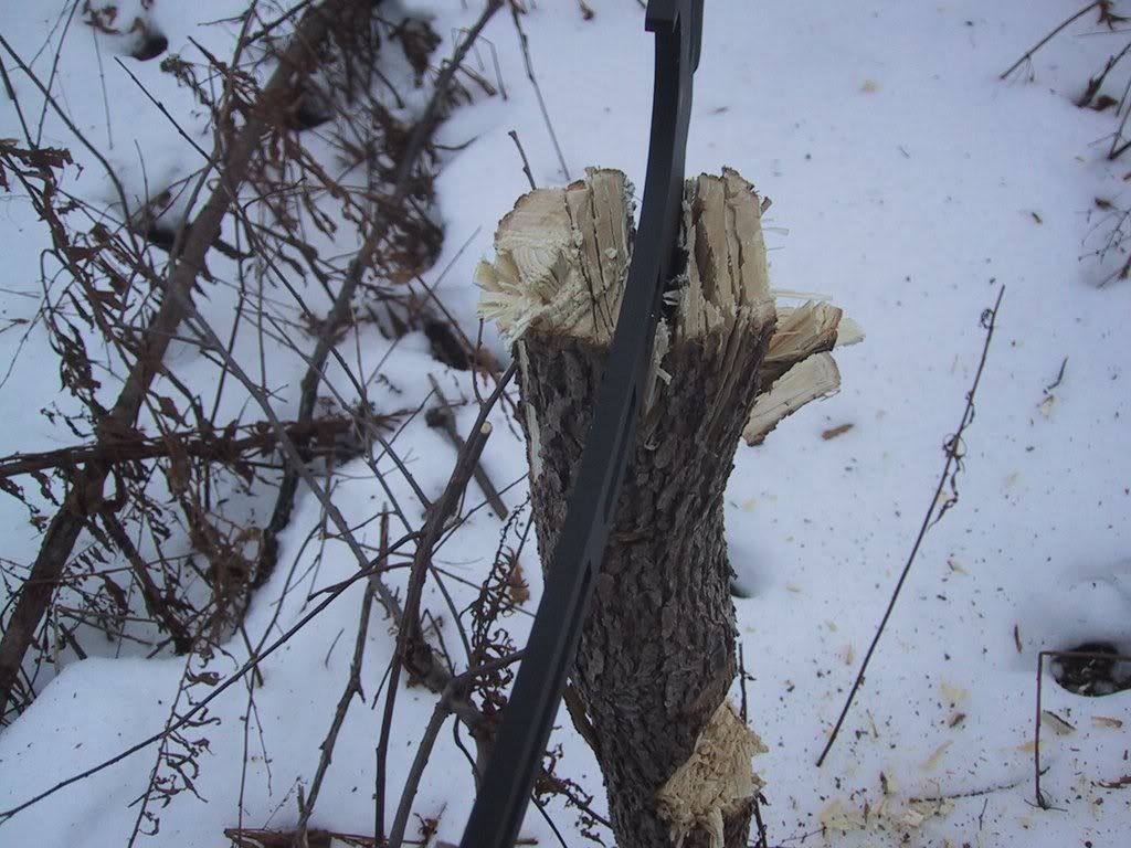 image2-15.jpg