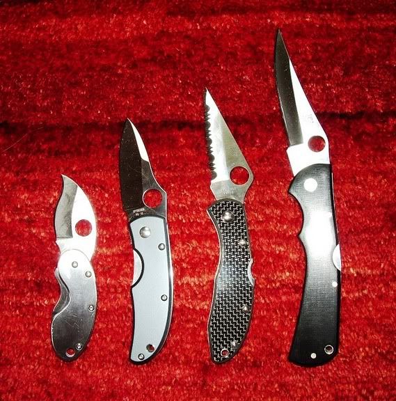 Spydie.jpg