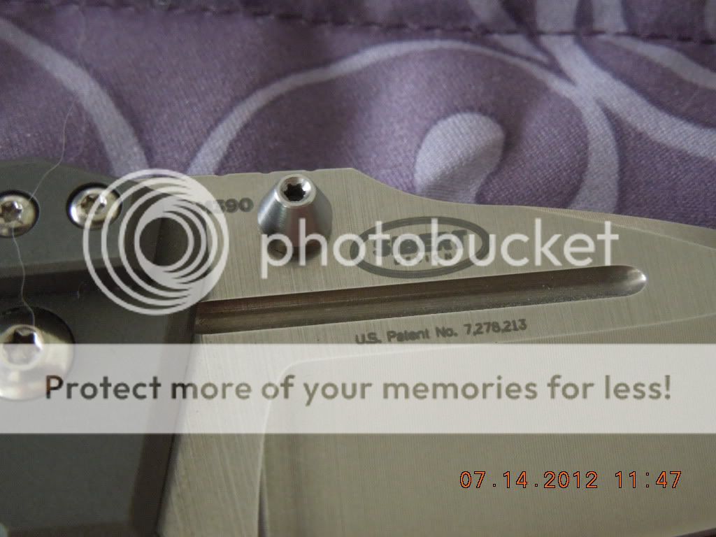 DSCN0585.jpg
