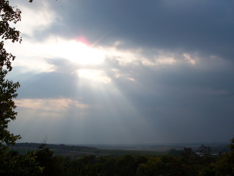 2903700372_317d2292f7_b.jpg