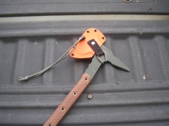 Picture020.jpg