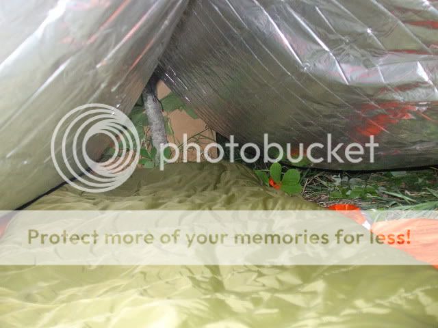 DSCF1815.jpg