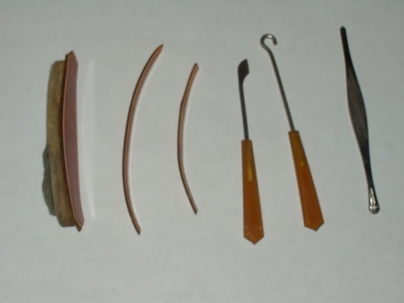 P1010074.jpg