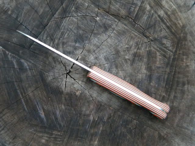 DSCN1929.jpg