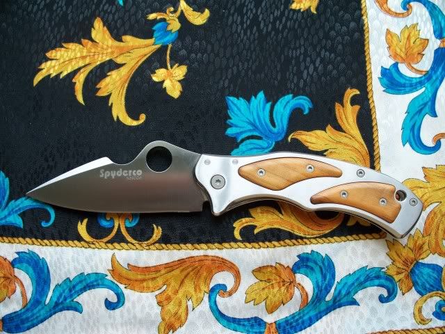 SpydercoVolpeMark.jpg