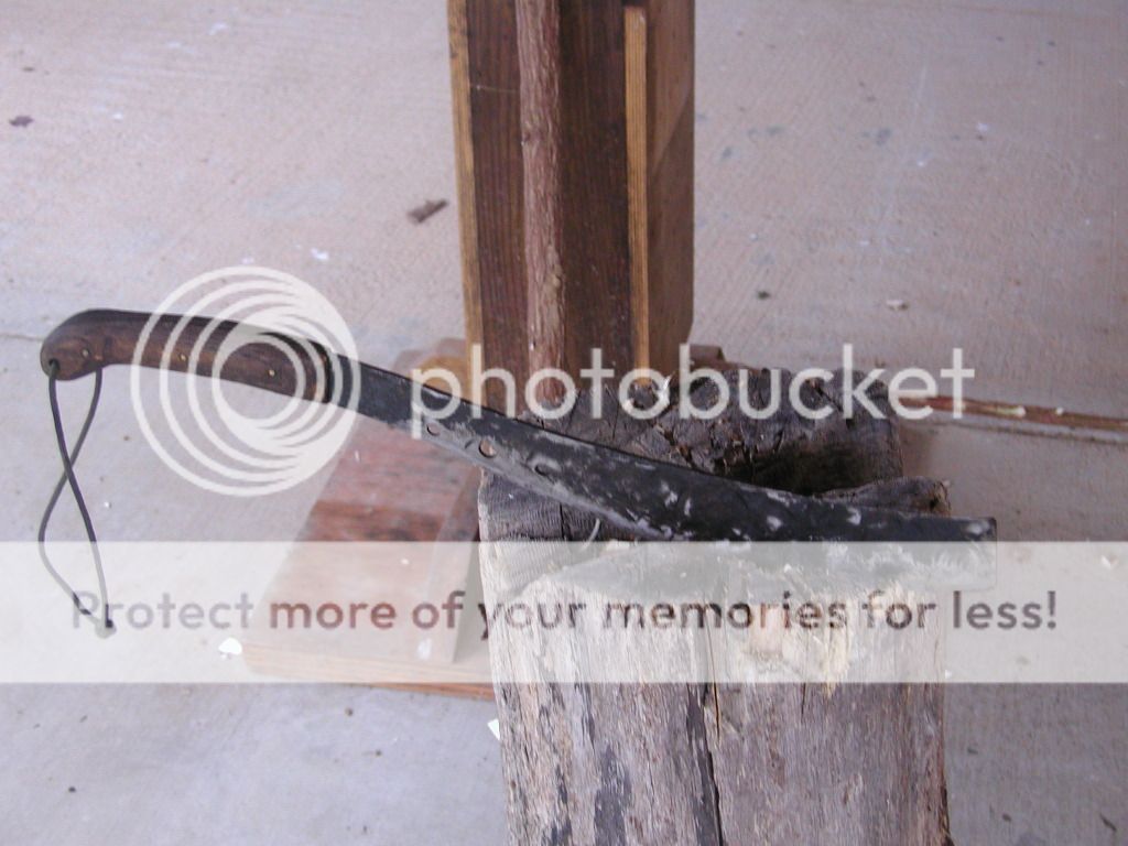 PA270020.jpg