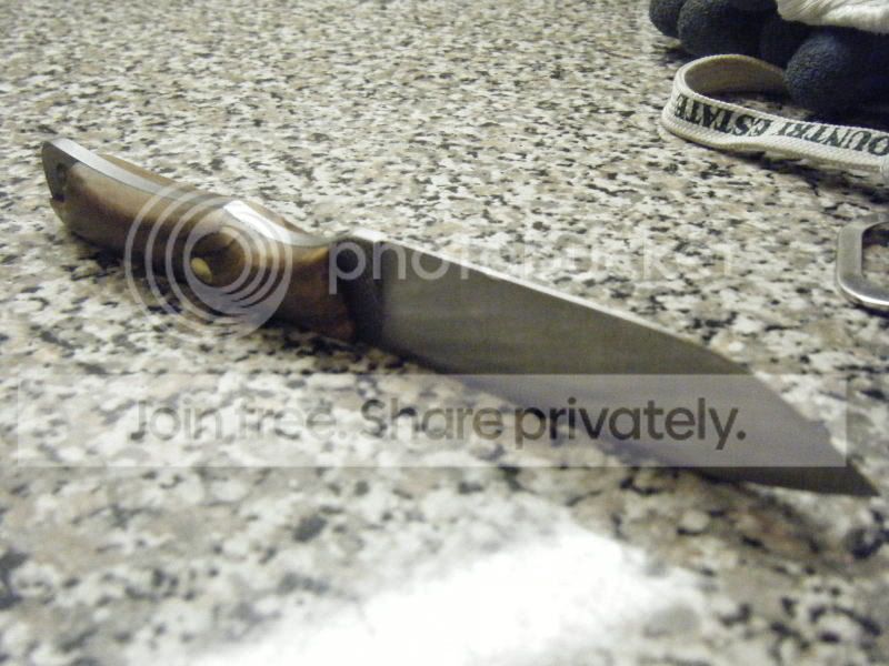 DSCF2228.jpg