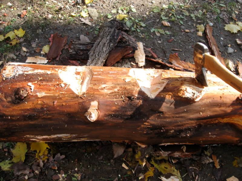 chop3.jpg